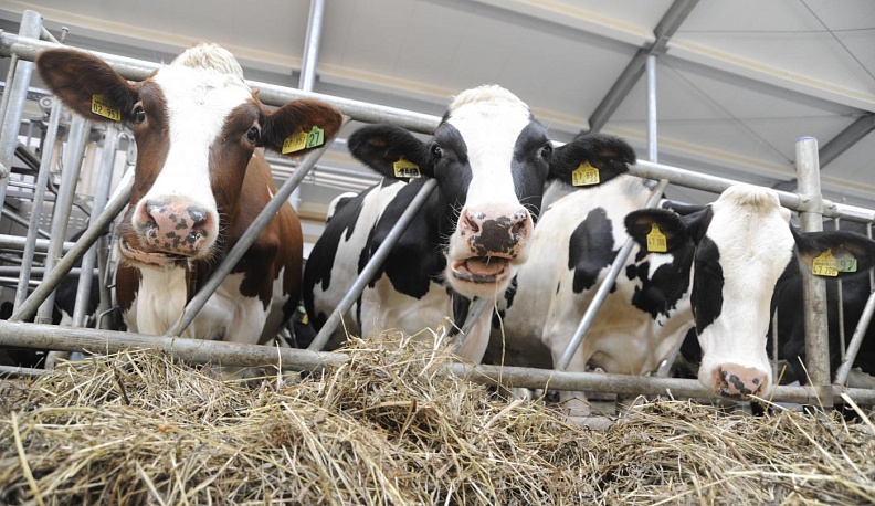 На пятёрку!