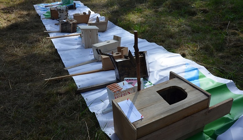 В Юхнове проходит областной конкурс школьных лесничеств