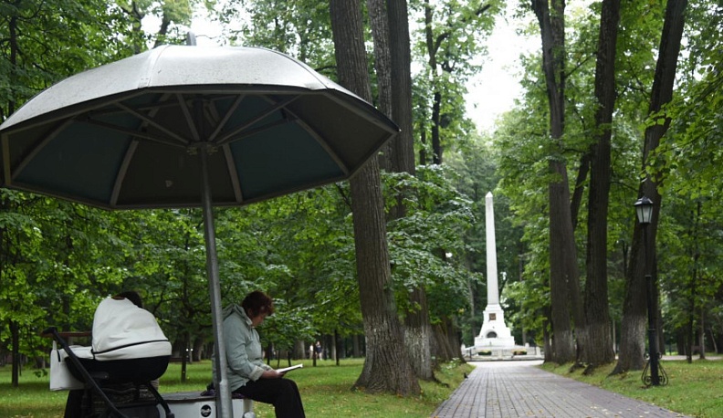 Завтра в Калужской области синоптики прогнозируют небольшой дождь