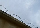 В Калужской области за четыре месяца изъяли более 220 килограммов наркотиков