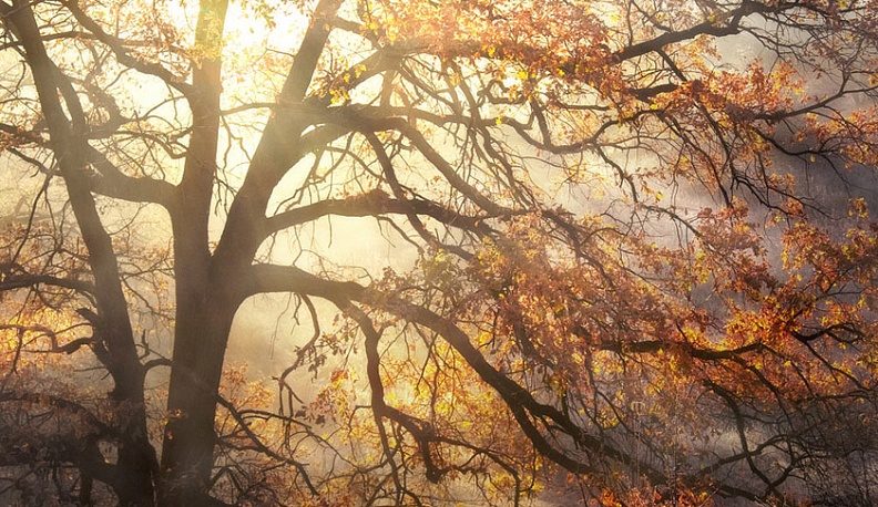 Калужан ждет малооблачная и прохладная пятница