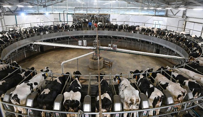 Локомотив развития