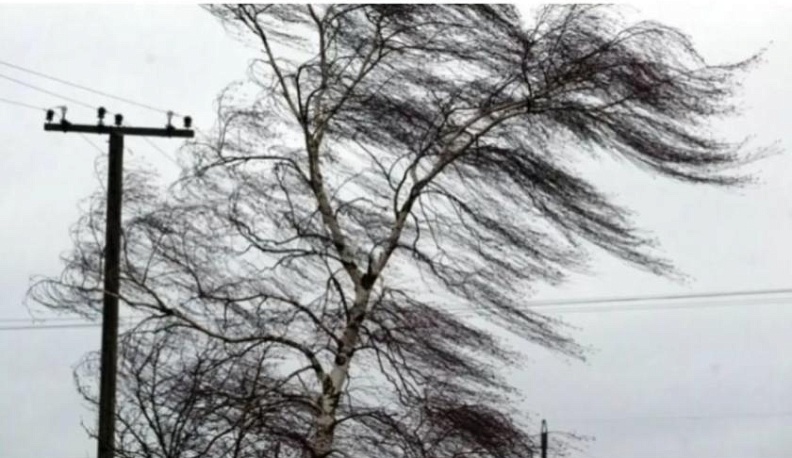 Калужскую область ждет усиление ветра