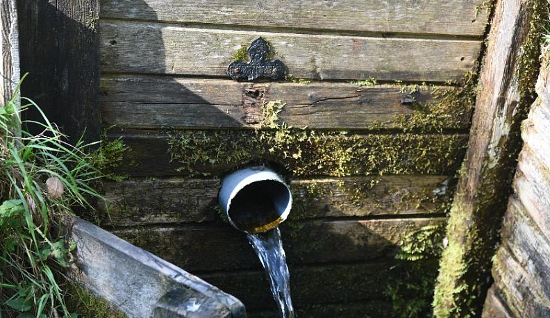 Ранимые родники