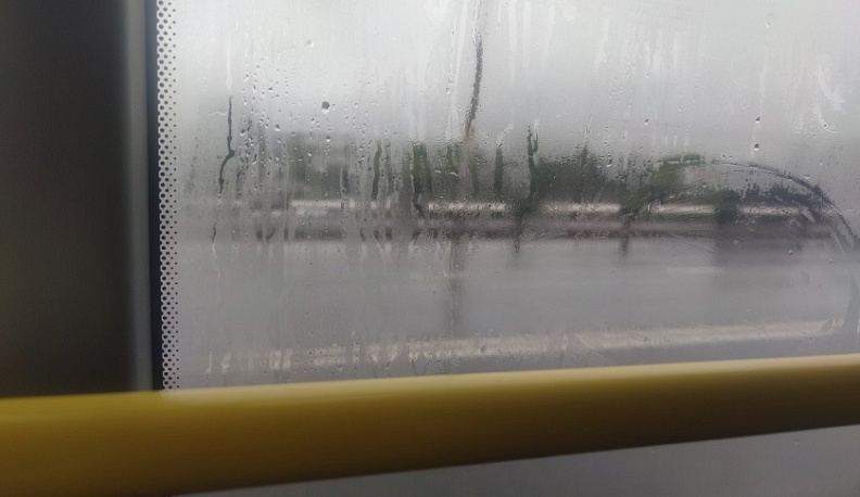 До конца дня в Калужской области прогнозируют ливень