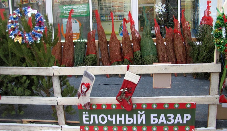 Калужские зоозащитники предложили передать им нераспроданные елки