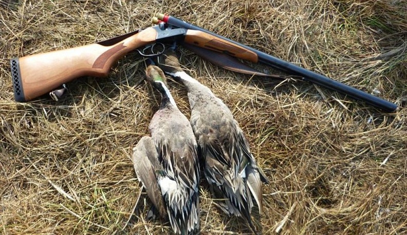 В Калужской области досрочно закроют весеннюю охоту