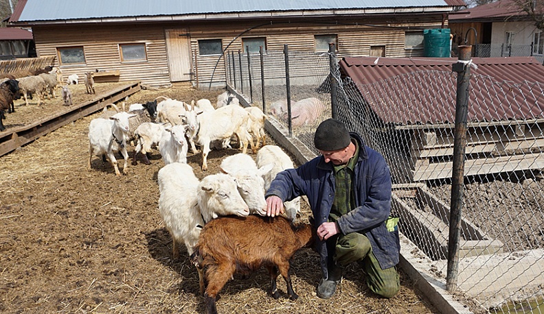 «Деревенька моя»