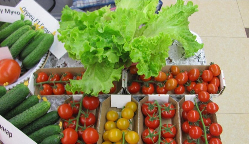В Калужской области подешевели огурцы