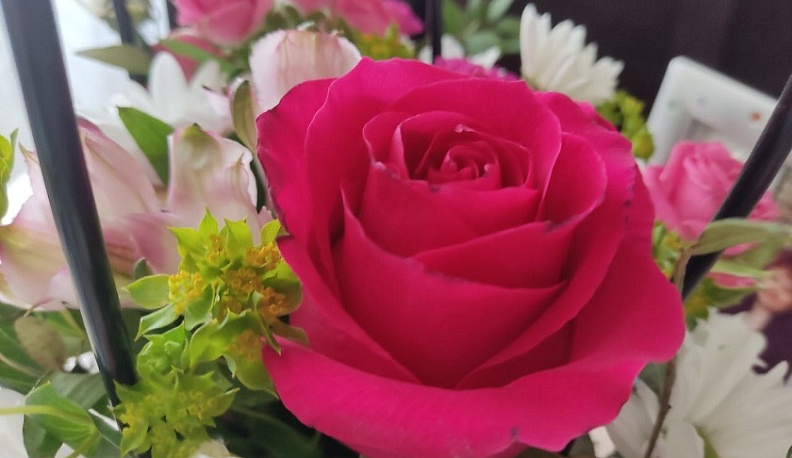 Из Калужской области в зарубежные страны отправили более 300 тысяч цветов