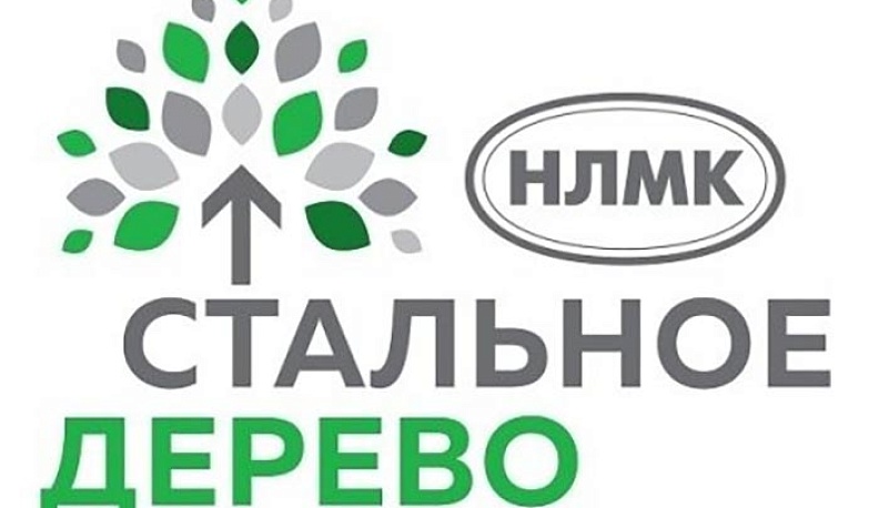 НЛМК-Калуга выделит 300 тысяч рублей на социальный грант
