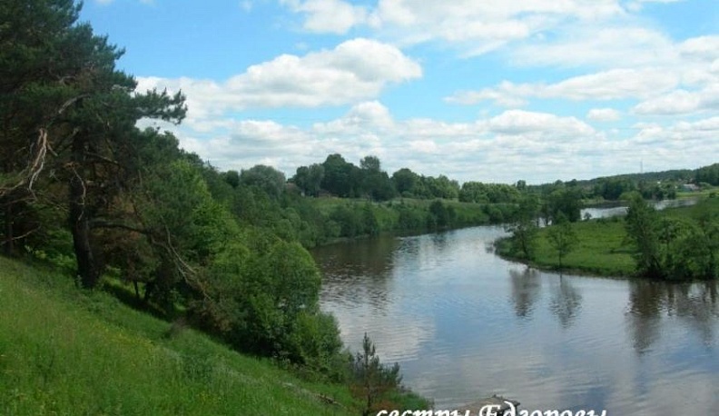 Признание в любви к родному краю 