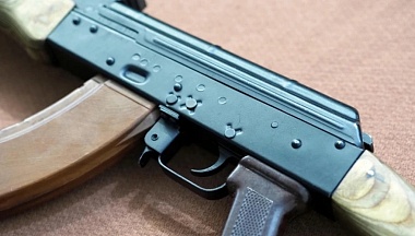  В Боровском округе застрелили двух домашних животных