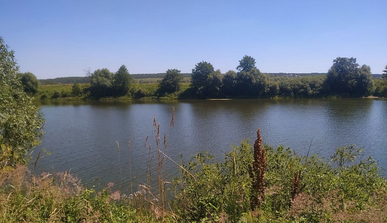 В Калужской области женщина попадет под суд за незаконную ловлю рыбы