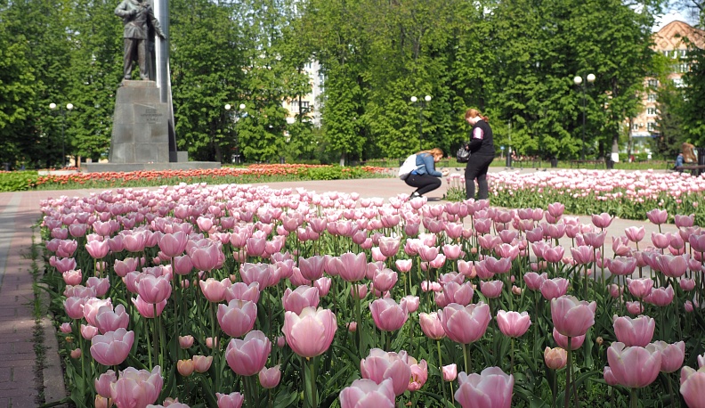 Красота – это естественно