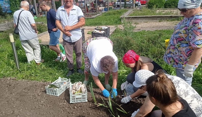 Саду искусств в Тарусе подарили цветочную поляну