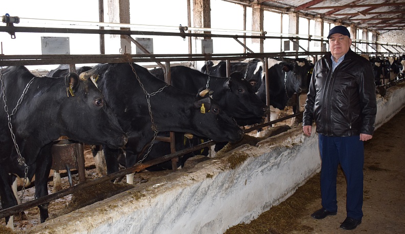 Колхоз имени Гурьянова: работы хватает всем