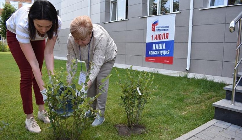 В детском технопарке «Кванториум» высадили Сад Памяти