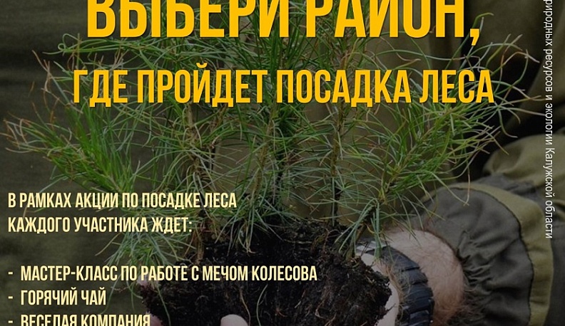 Калужанам предлагают выбрать район для посадки леса
