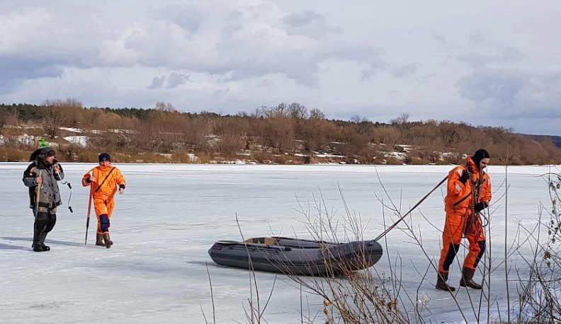 Под весенним солнцем