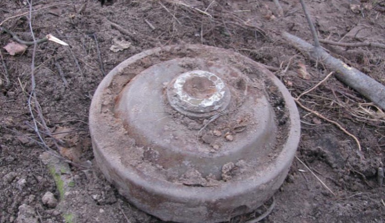 В Людинове обезвредили противотанковую мину