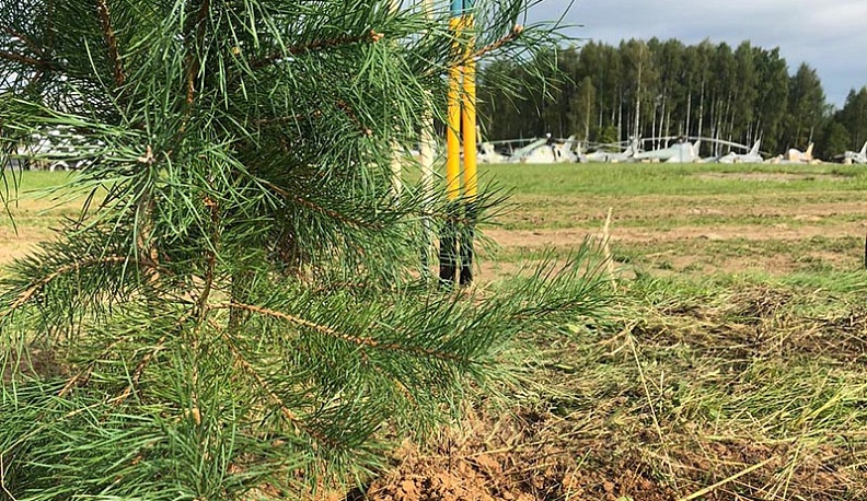 В Медынском районе Ольга Коробова и Игорь Угольников высадили аллею «Народное ополчение» 