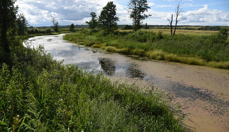 В Калужской области появились 7  километров экотропы