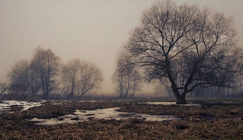 В четверг в Калуге будет пасмурно и тепло