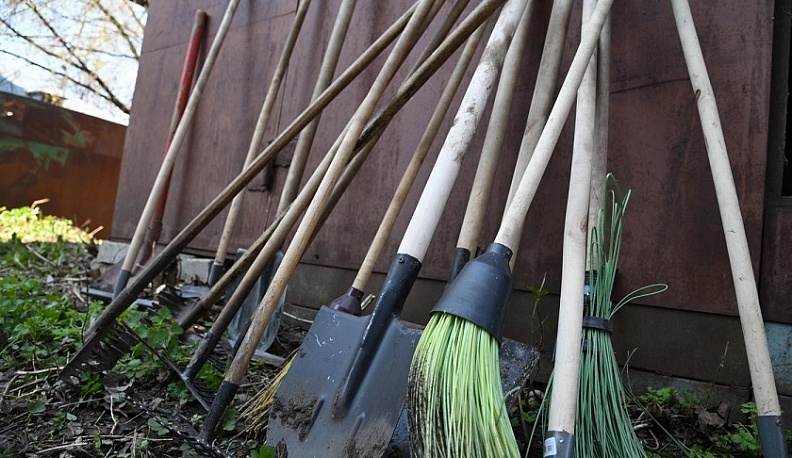 Калужан приглашают на субботник в городской бор