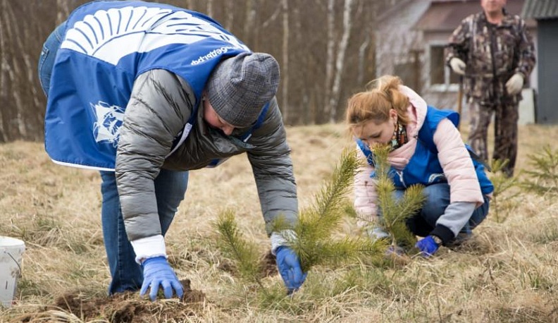 В рамках Всероссийской акции «Сад памяти» состоялась закладка сосновой аллеи в поселке Середейский Сухиничского района