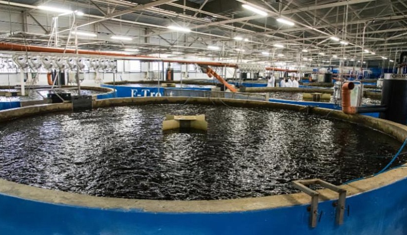 Владислав Шапша обсудил с руководством и предпринимателями Боровского района дополнительные меры поддержки бизнеса