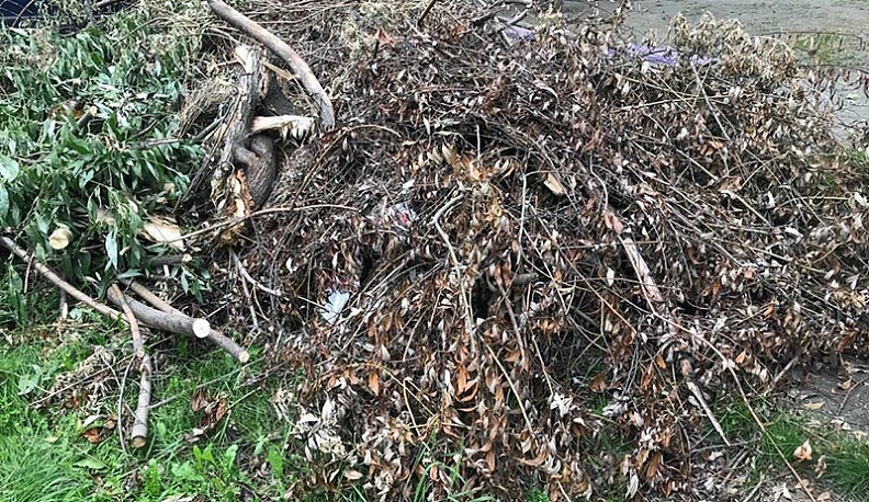 Дмитрий Денисов пообещал жестко наказывать за несанкционированные свалки