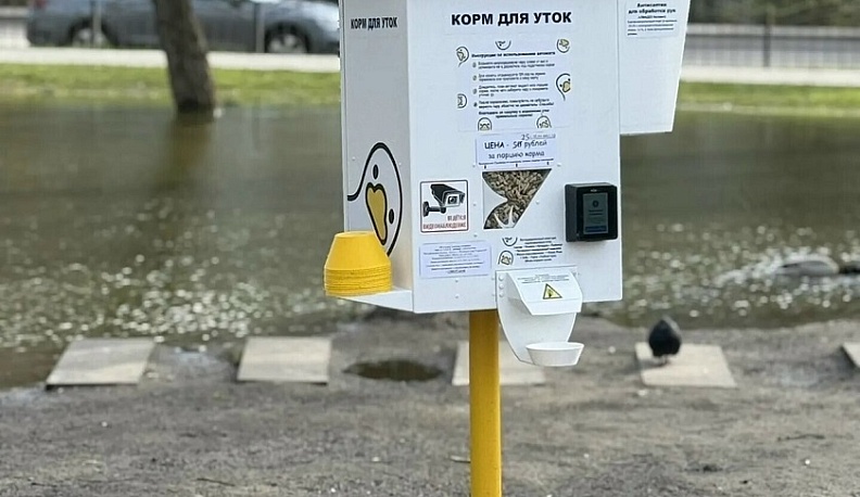 В Калуге, в сквере «Содружество» микрорайона Кубяка, поставили автомат с кормом для уток