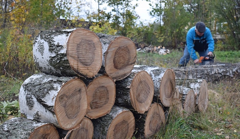 В Тарусе заготавливают дрова для СВОих