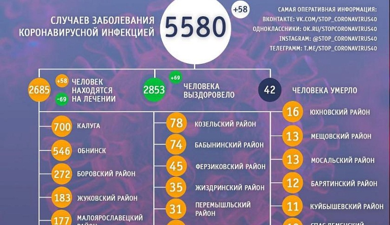 В Калужской области выздоровело еще 69 пациентов с COVID-19
