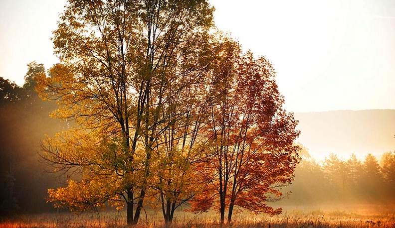 Остаток недели калужане смогут принимать солнечные ванны