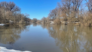 В Калужской области уровень воды в реке Протве поднялся еще на пять сантиметров 
