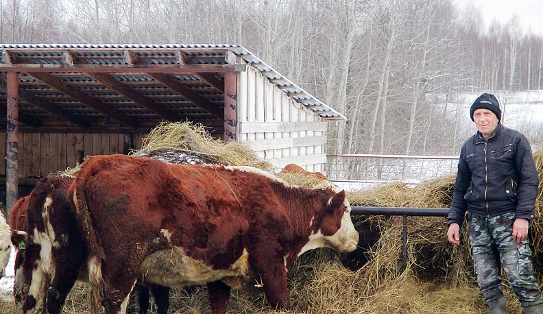 Герои в сердце