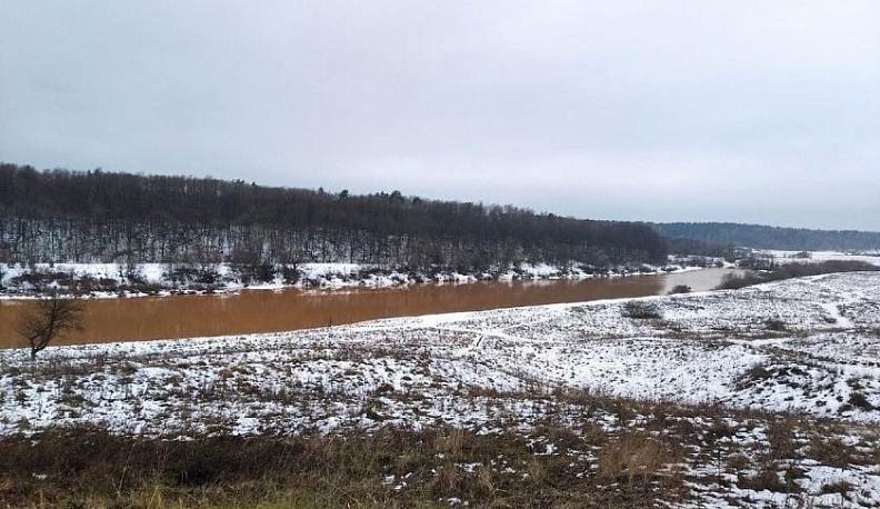 Вода в Оке не опасна для человека и биоресурсов