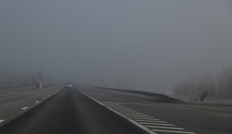 Владельцы электромобилей смогут бесплатно пользоваться платными дорогами