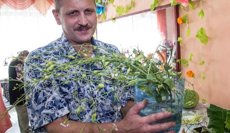 Калужский огородник вырастил надземную редиску