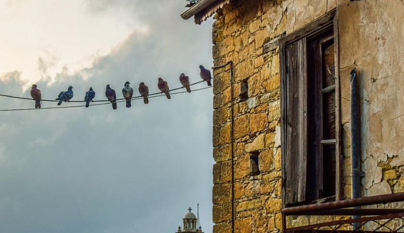 Губернатор предложил создать реестр домов, признанных аварийными после 2017 года