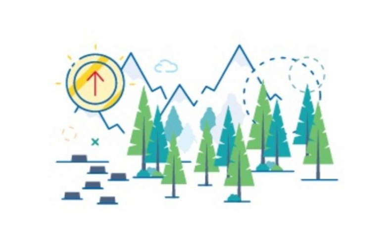В Калужской области создана интерактивная карта лесов 