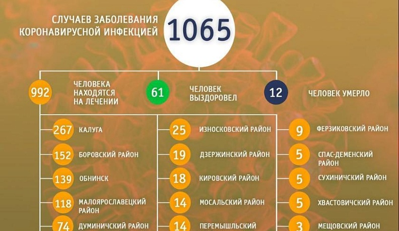 В Каужской области опубликовали новые данные по коронавирусу