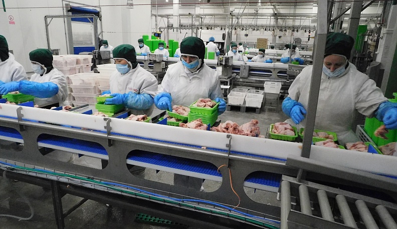 Достойный ответ на кадровый вопрос