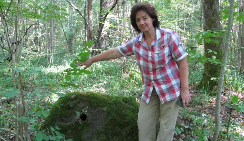 Секреты Каменной гряды