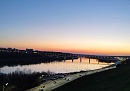 Объем лесовосстановительных работ за весну в Калужской области составил 9%