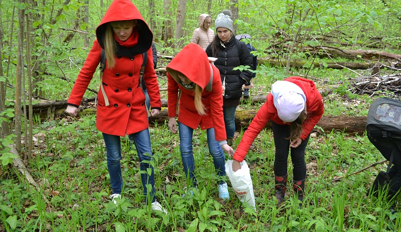 И тропинки, и лесок, в поле каждый колосок...