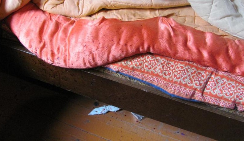 В Калужской области столичный дачник зарубил гостя топором 