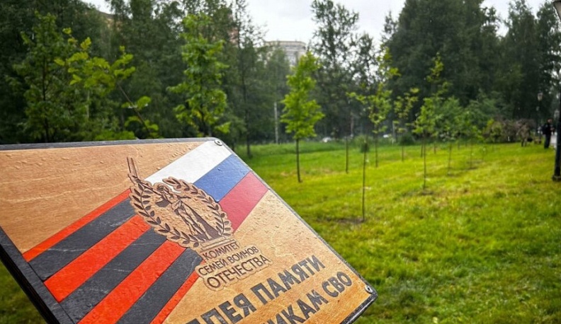 В Калуге открыли аллею памяти участников спецоперации